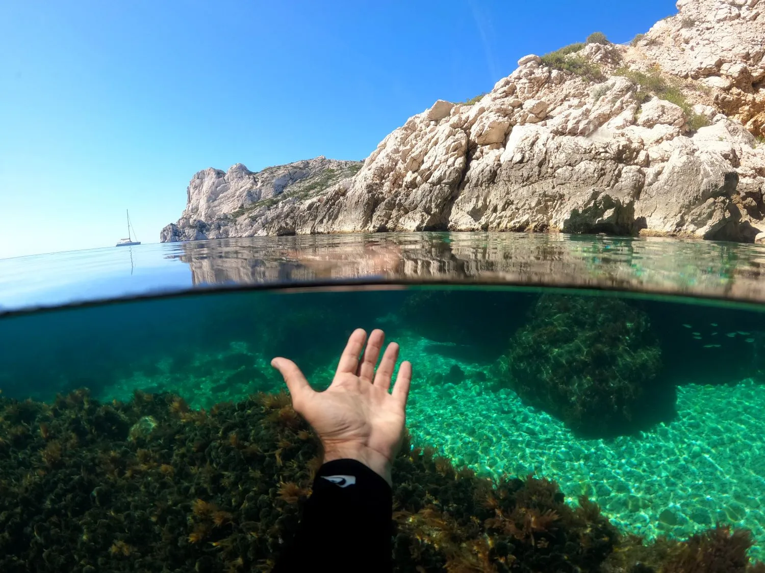 Karim Saari — portfolio photographie sous-marine et paysages des Calanques de Marseille, photographe environnemental