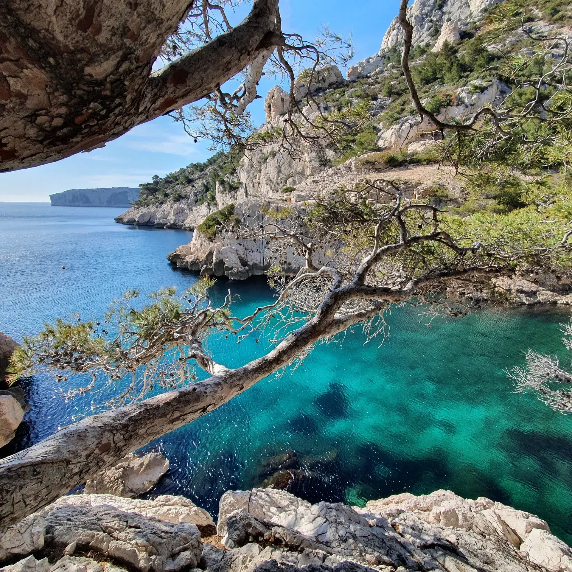 Karim Saari photographe Marseille — grotte calanque eau turquoise pins et falaises calcaires